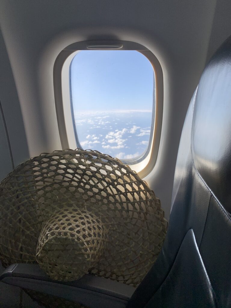Chapeau dans l'avion