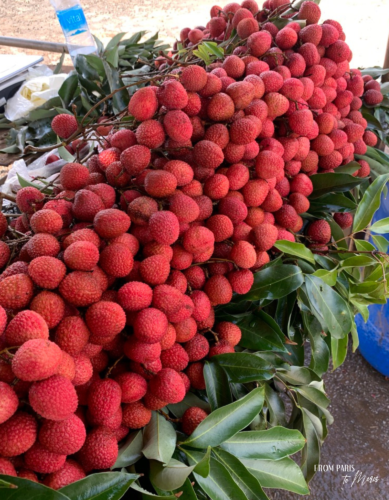 Litchi ile maurice