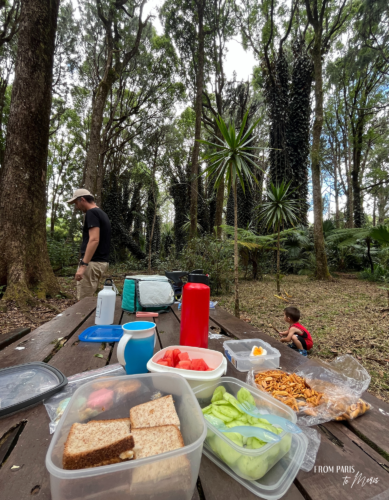 Sophie Nature Walk picnic