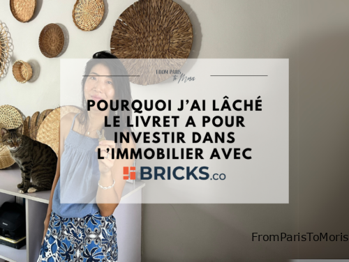 Bricks investir dans l'immobilier