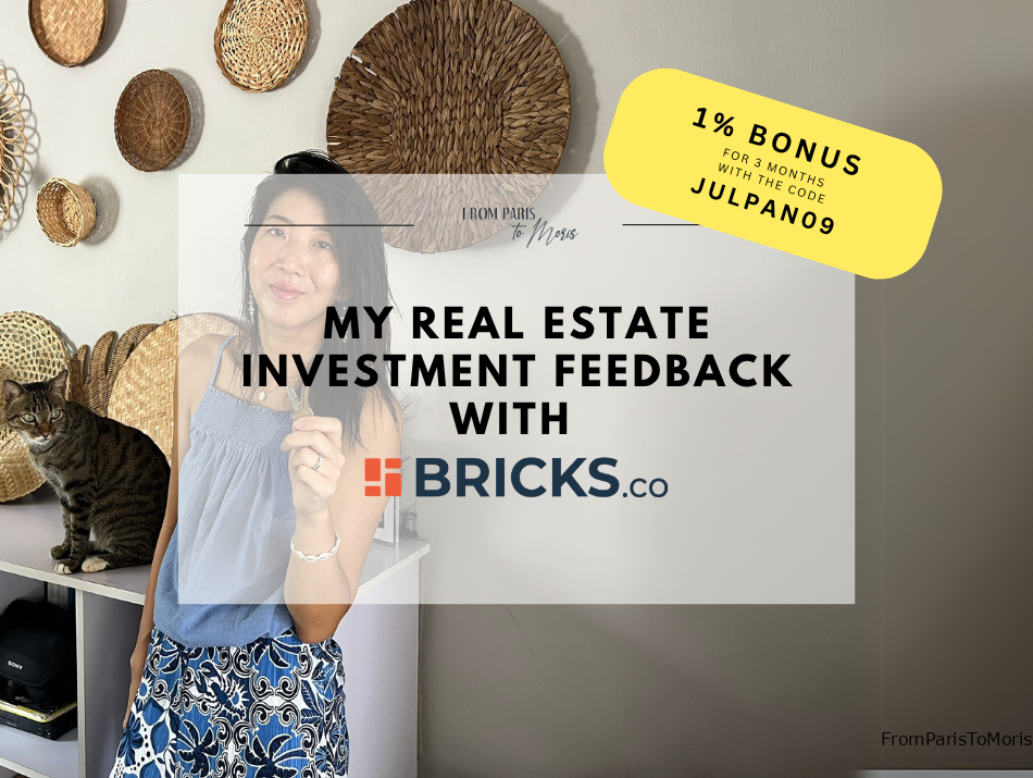 BRICKS REAL ESTATE INVESTMENT