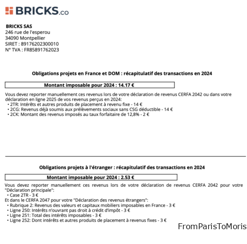 Bricks déclaration 2024