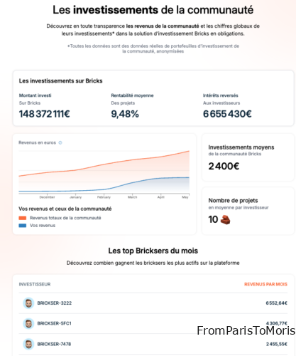 Bricks investissements de la communauté