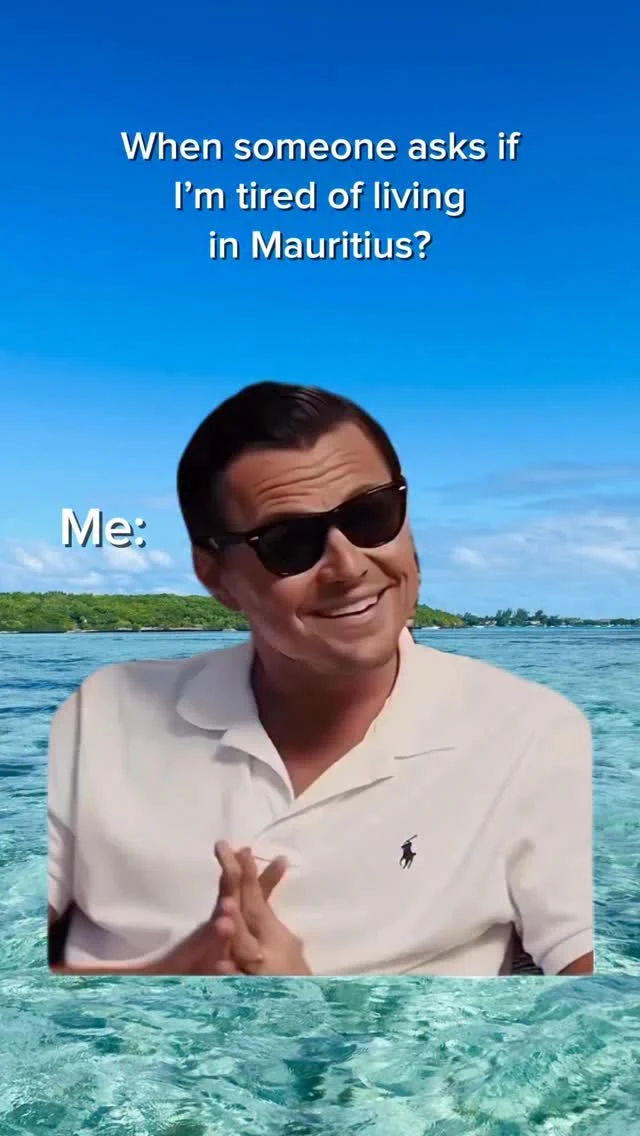 🇫🇷 Est-ce qu’on peut vraiment s’en lasser ? 😎🇲🇺

🇬🇧 Spoiler: I’m not. At all. ✌️🌴

#Meme #MemeCut #Mauritius #expatlife #expatriationilemaurice #ilemaurice